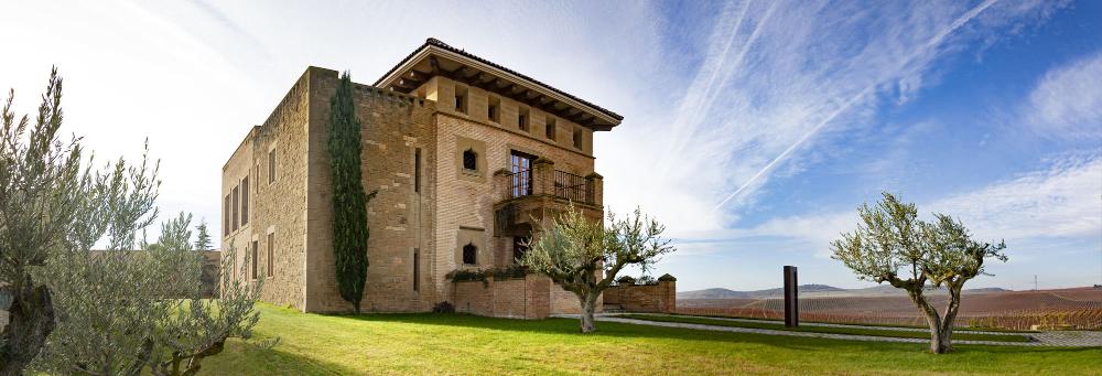 Bodega entre viñedos